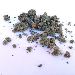 Cannabis light small flowers 20g - Blueberry 2019