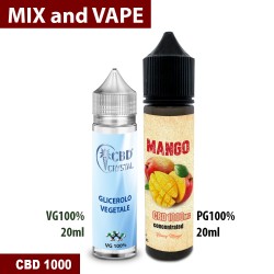 Mango CBD 1000 Mix and vape