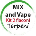 Mix and Vape Terpeni