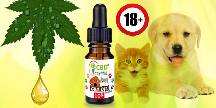 cbd oil for pets