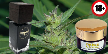 Cosmetics