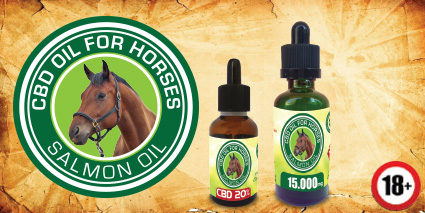 horses
